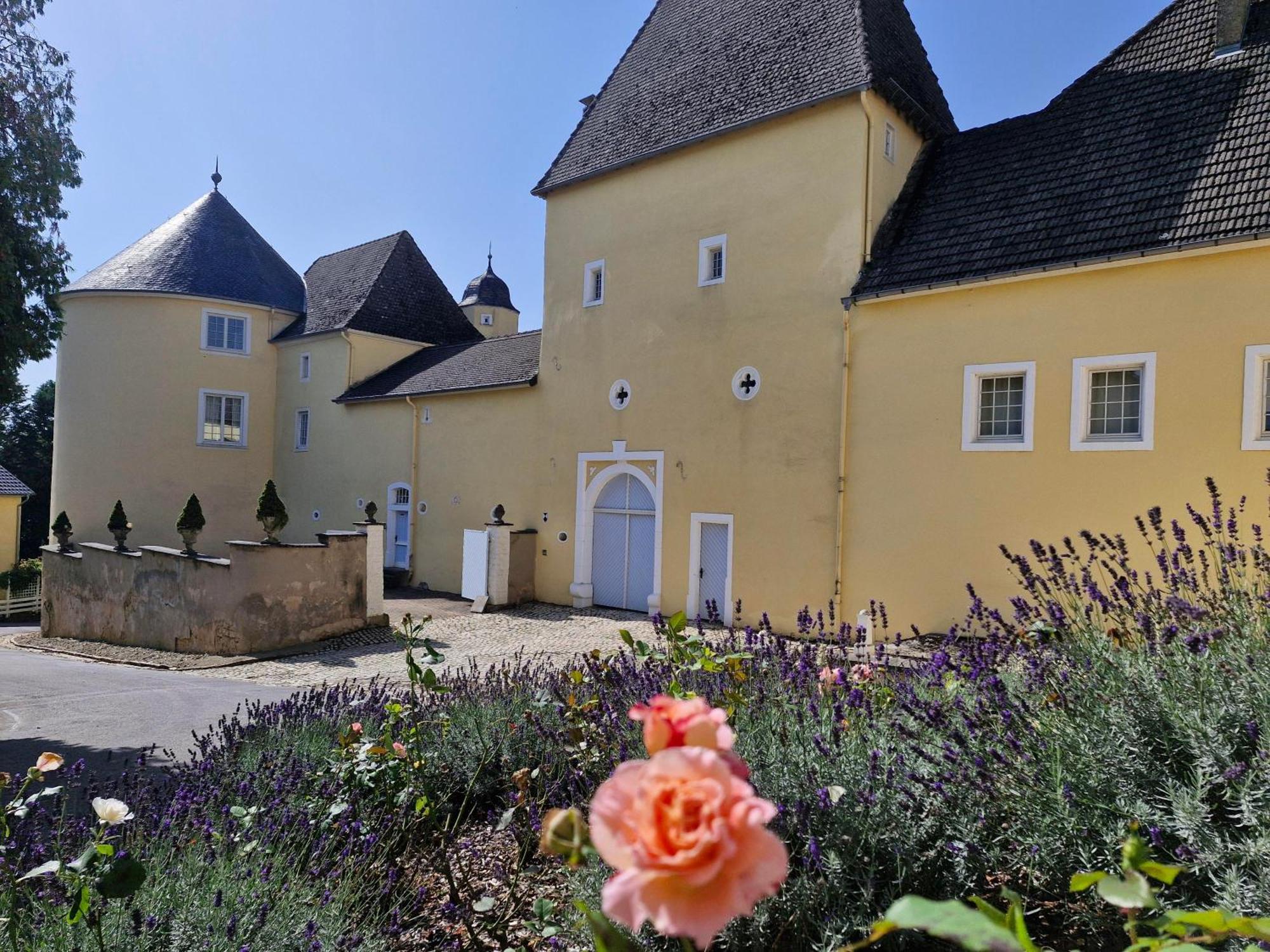 Schloss Thorn Palzem Екстер'єр фото